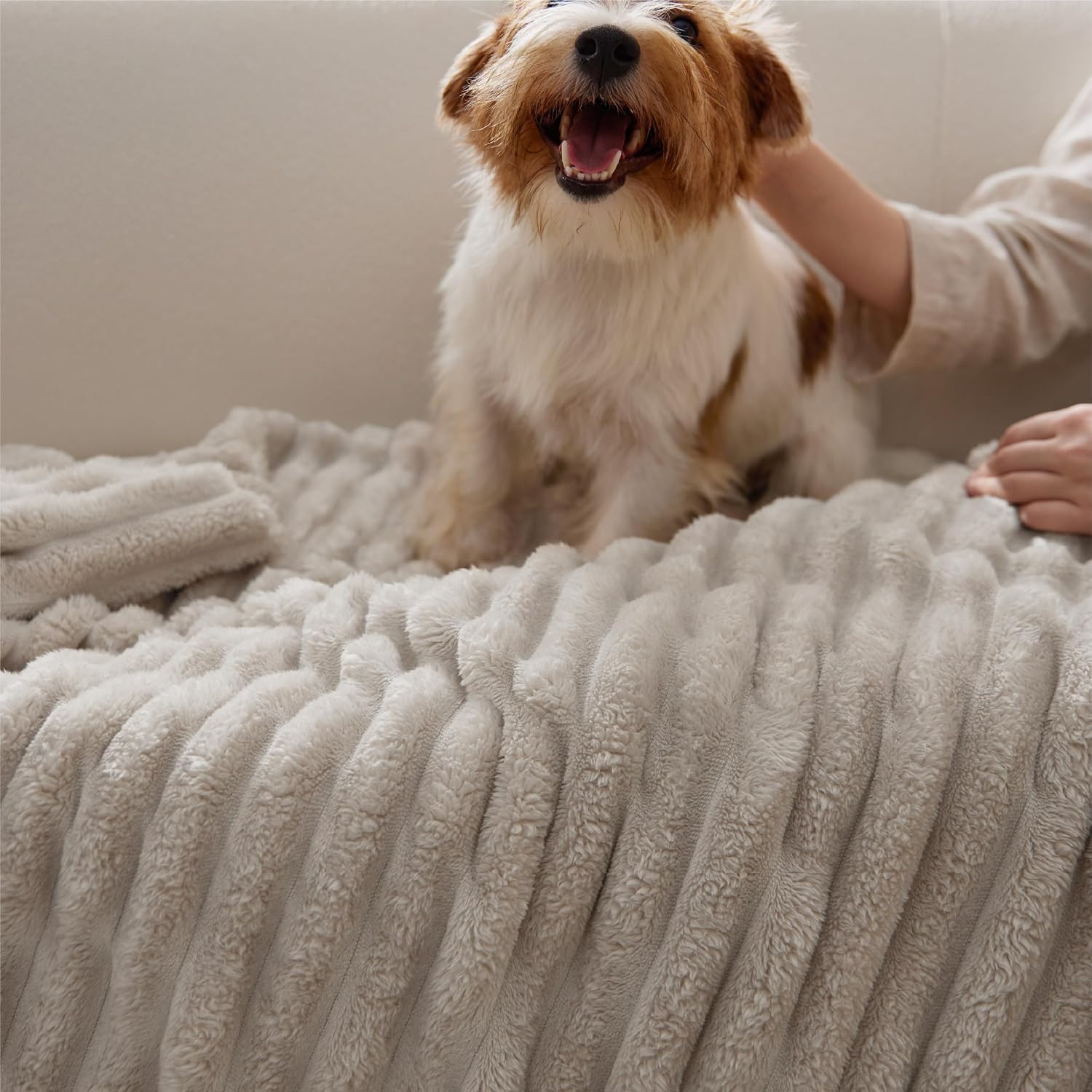 Bedsure Soft King Size Blankets for Bed Beige 108"x90" | Birthday Gifts for Women Mom Her, Warm Lightweight Cozy Fluffy Throw Blanket Sofa, Dorm Room Home Decor, Machine Washable - Image 8