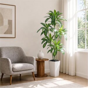 Artificial Dracaena Tree 6FT, Tall ...